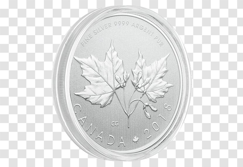 Coin Silver Leaf White Transparent PNG
