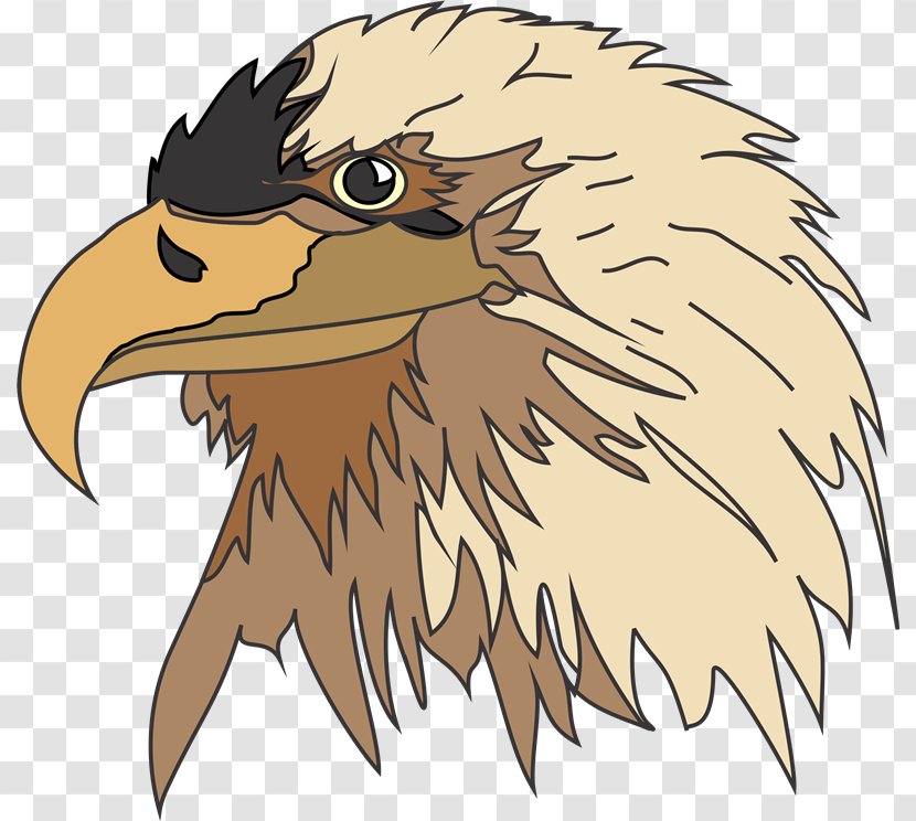 Bald Eagle Living Creatures Cherub Revelation 4 - Fauna - Aves Transparent PNG