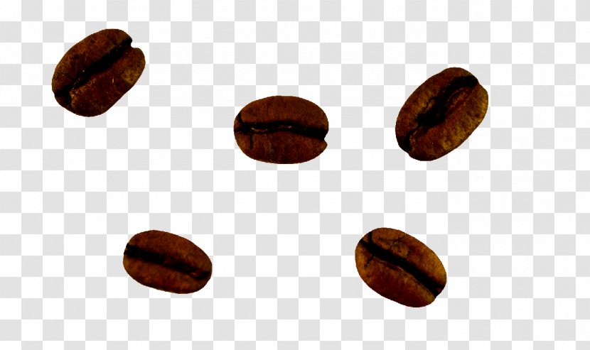 Nut - Nuts Seeds - Coffee Beans Transparent PNG
