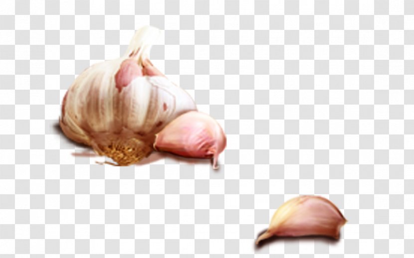 Garlic Shallot Ingredient Cuisine - Capsicum - Peeled Transparent PNG