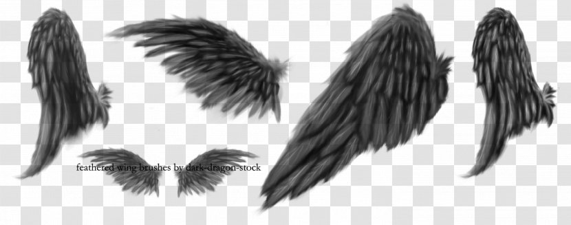 Brush Painting DeviantArt - Black And White - Dark Transparent PNG