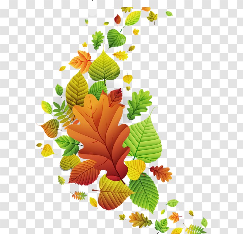 Autumn Photography Clip Art - Leaves Watercolor Transparent PNG