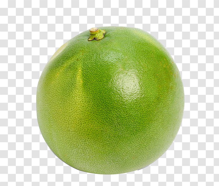 Persian Lime Key Sweet Lemon Grapefruit - Fresh Transparent PNG