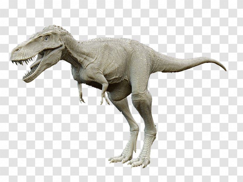Tyrannosaurus Prehistory Dinosaur Euclidean Vector - Gratis Transparent PNG
