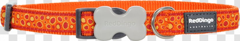 Dog Collar Dingo Leash - Puppy - Red Transparent PNG