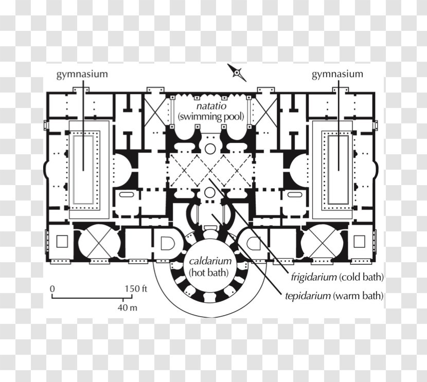 Baths Of Caracalla Roman Ancient Bathing Floor Plan Thermae - Tree - House Transparent PNG
