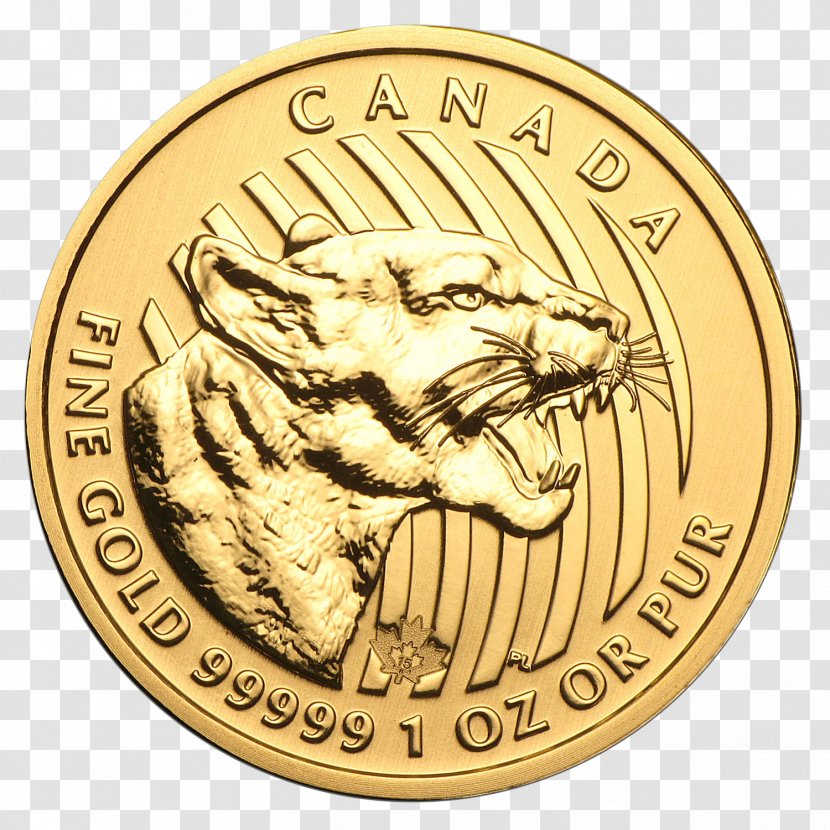 Canadian Gold Maple Leaf Coin Bullion - Bar Transparent PNG
