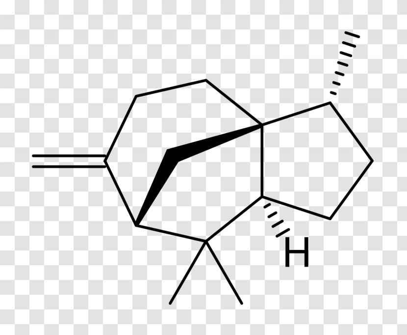 Cedrene Cedrol Essential Oil Chemistry Cedar - Line Art Transparent PNG