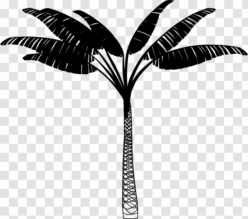 Kawani Resort Palm Trees Accommodation Nacala - Quality - Tree Transparent PNG