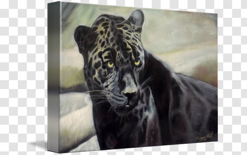 Tiger Jaguar Black Panther Leopard Lion - Work Of Art Transparent PNG