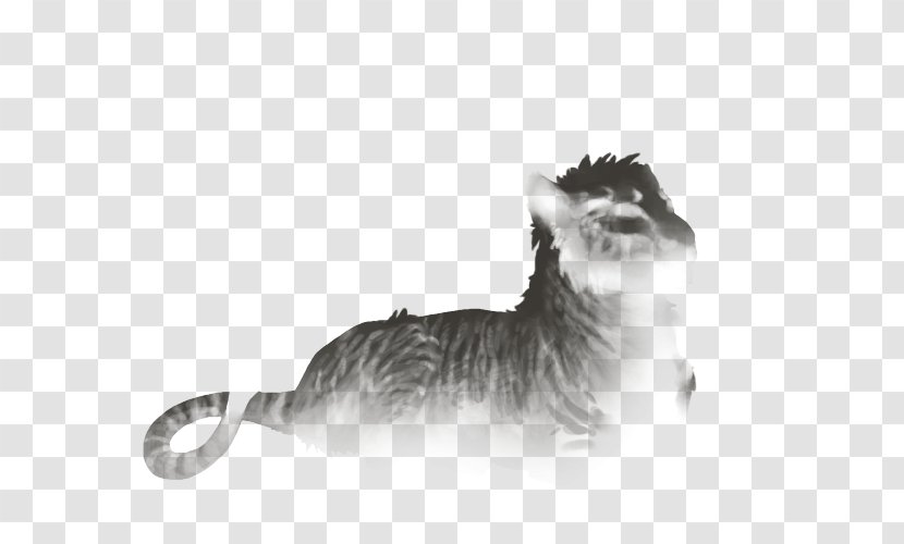 Cat Felidae Dog Whiskers Mammal - Gazania Transparent PNG