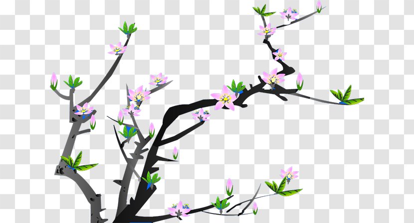 Animation Adobe Flash Player Plum Blossom Software - Flower Transparent PNG