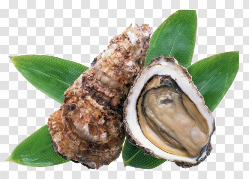 Oyster Kakigoya Hinase Food Ostreidae - Seafood Shellfish Transparent PNG