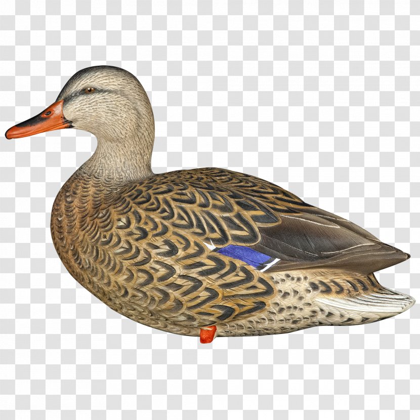 Mallard Duck Decoy Swan Goose Transparent PNG