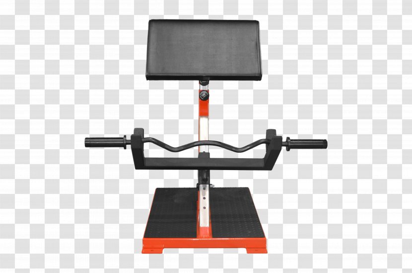 Tool Exercise Equipment - Design Transparent PNG