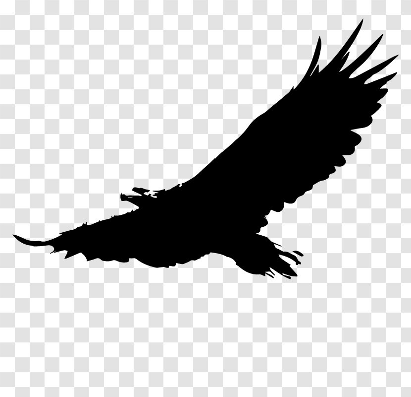 Bald Eagle Download Clip Art - American Transparent PNG