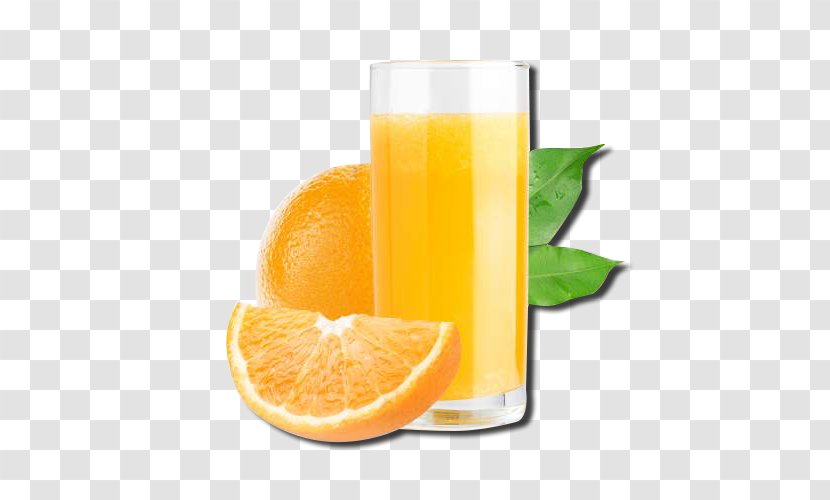 Orange Juice Drink Fizzy Drinks Soft - Cranberry Transparent PNG