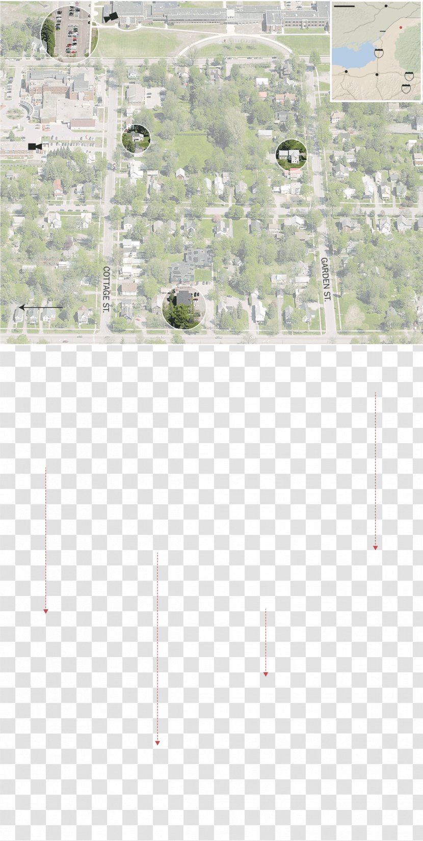 Land Lot Green Line Map Angle - Tree Transparent PNG