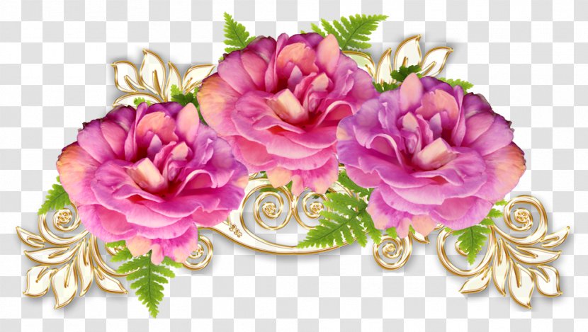 Cabbage Rose Garden Roses Floral Design - Peony - Flower Transparent PNG
