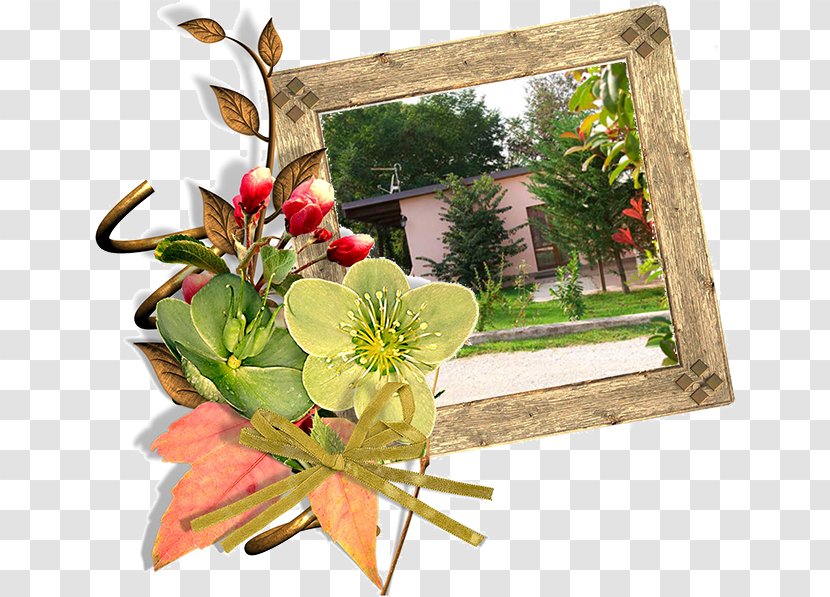 Floral Design Cut Flowers Flower Bouquet Petal - Floristry Transparent PNG