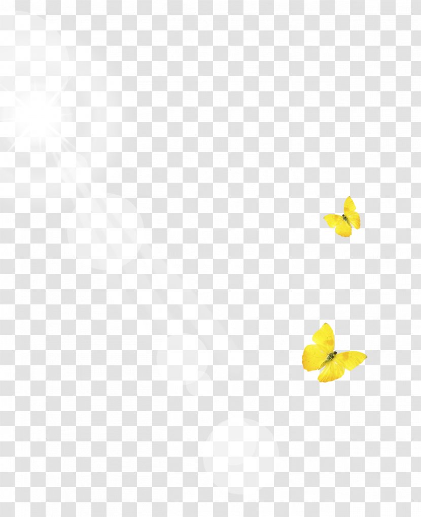 Line Angle Point Yellow Pattern - Butterfly Sun Rays Transparent PNG