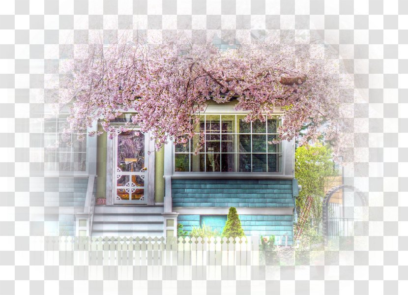 Desktop Wallpaper Window Tree House High-definition Television Transparent PNG