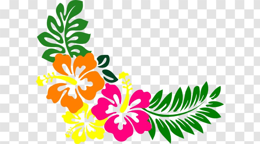 Clip Art Hawaiian Hibiscus Shoeblackplant Tea Free Content - Seed Plant - Clusters Clipart Transparent PNG