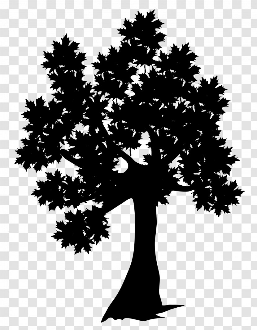 Fall Tree Clip Art Vector Graphics Illustration - Branch - Stock Photography Transparent PNG