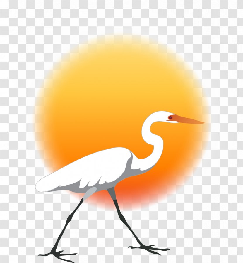 Water Bird Crane Beak Wing - Sunset Transparent PNG