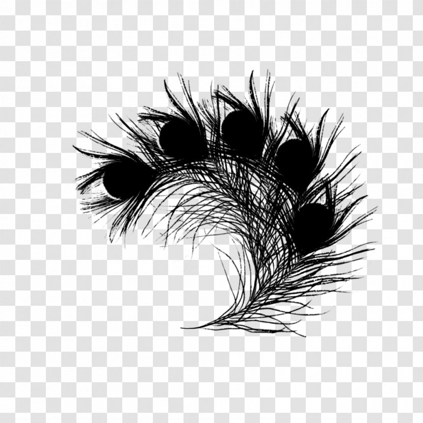 Feather Graphics /m/02csf Black & White - M - Drawing Transparent PNG