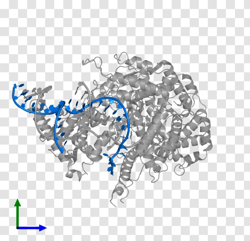 Line - Flower - Dna Molecules Transparent PNG