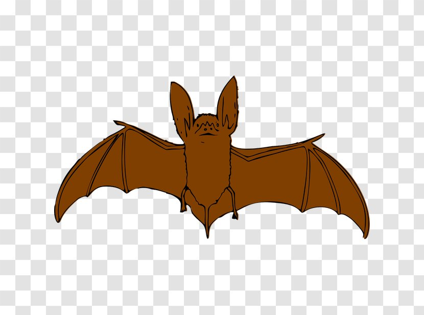 Clip Art Bat Vector Graphics Openclipart - Public Domain Transparent PNG