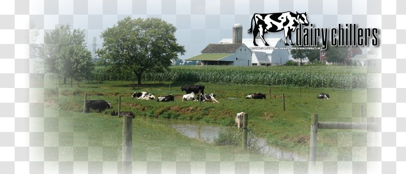Lindsay Dairy Farming Cattle - Mode Of Transport Transparent PNG