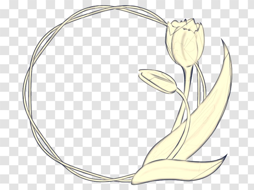 Lily Flower Cartoon - Plant - Family Tulip Transparent PNG