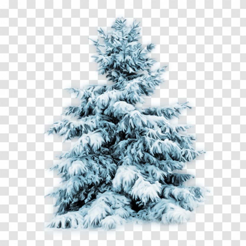 Tree Snow Desktop Wallpaper Pine - Winter Transparent PNG