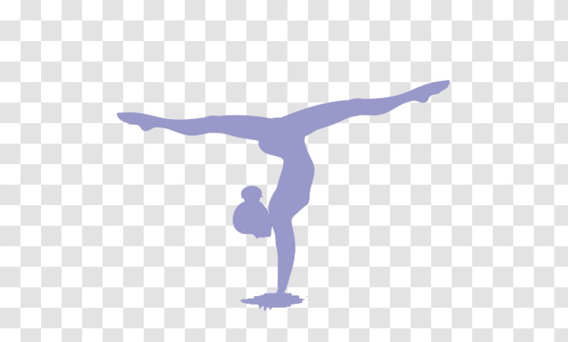 Artistic Gymnastics Split Sport Rhythmic - Joint - Team Transparent PNG