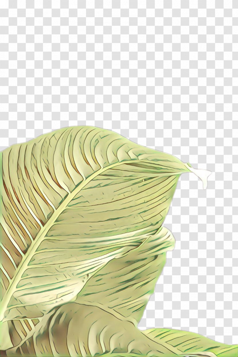 Green Leaf Line Plant Thread Transparent PNG