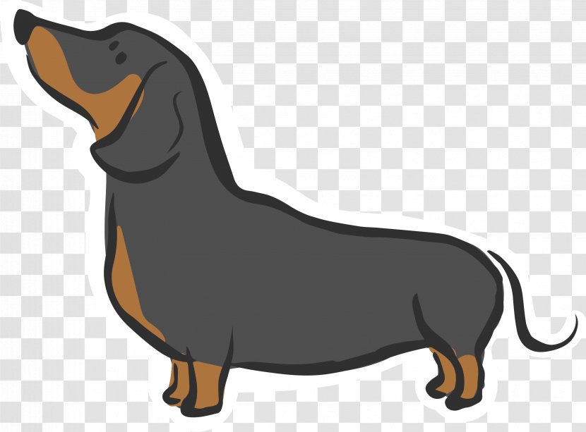 Dachshund Siberian Husky Puppy Dog Breed Hound - Vulnerable Native Breeds - Looking Up At The Sky Transparent PNG
