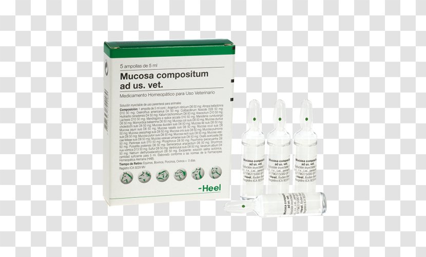 Veterinary Medicine Homeopathy Homeopatia Veterinária Pharmaceutical Drug Hip Dysplasia - Inflammation - Garrapata Transparent PNG