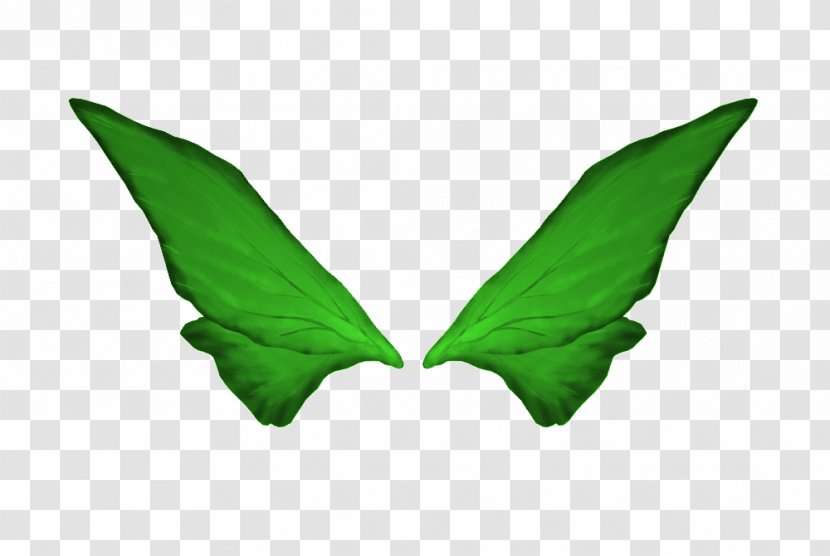 Elements, Hong Kong Google Images - Grass - Wings To Pull The Material Transparent PNG