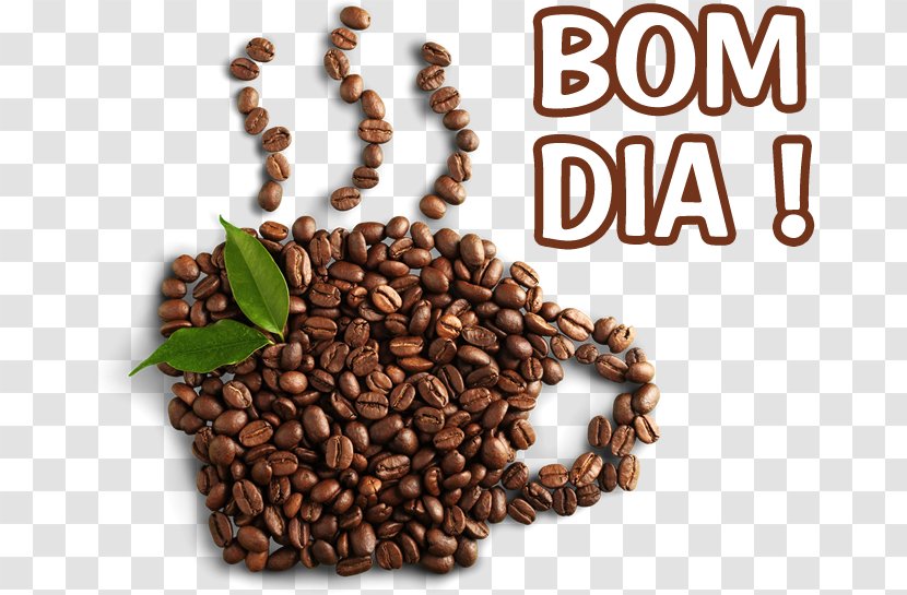 Jamaican Blue Mountain Coffee Caffeine Bean Kona - Singleorigin Transparent PNG