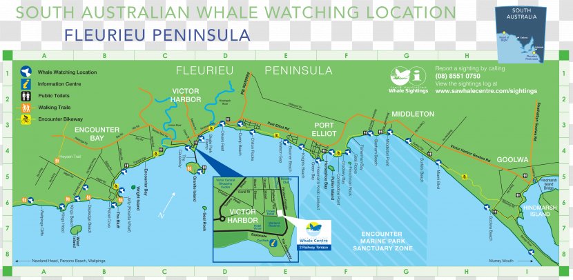 South Australian Whale Centre Aldinga Map Goolwa Profile Diagram - Email - Didcot Railway Transparent PNG