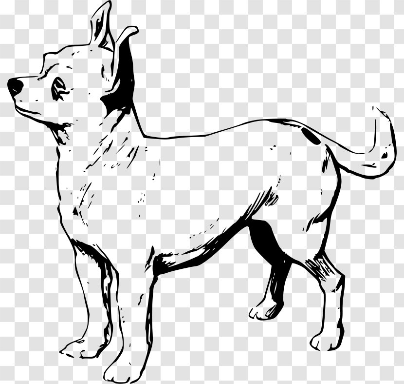 Chihuahua Puppy Line Art Clip - Cartoon Transparent PNG