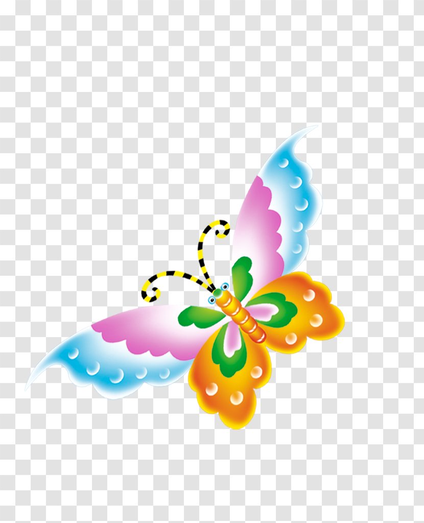 Butterfly Creativity - Insect Transparent PNG