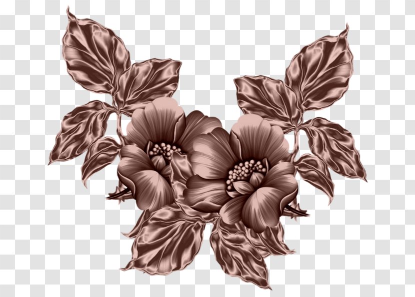 Botanical Illustration Clip Art Drawing - Perennial Plant - Flowers Psd Files Transparent PNG