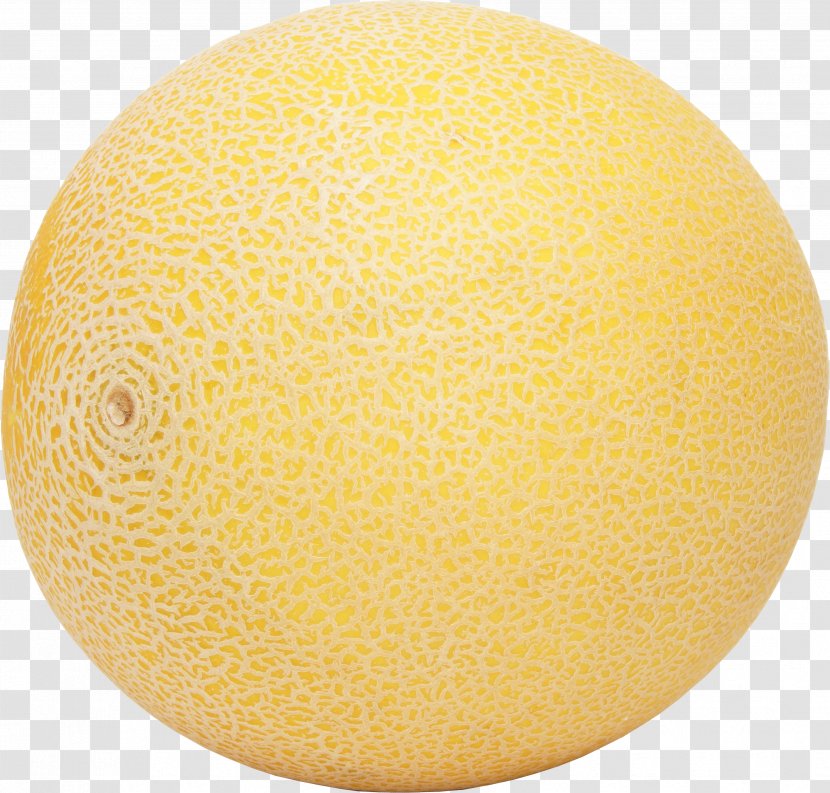 Honeydew Cantaloupe Galia Melon Hami Transparent PNG