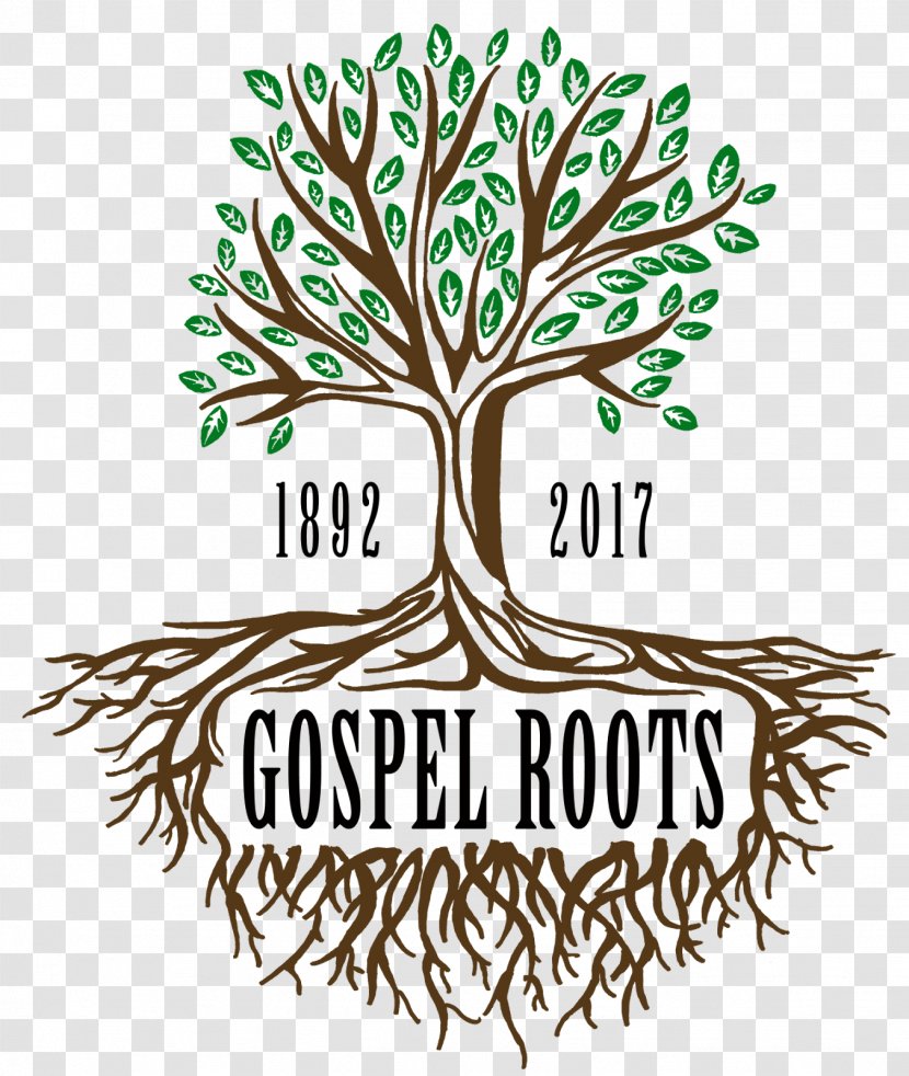 Woody Plant Tree Root Stem - Branch - Gospel Transparent PNG