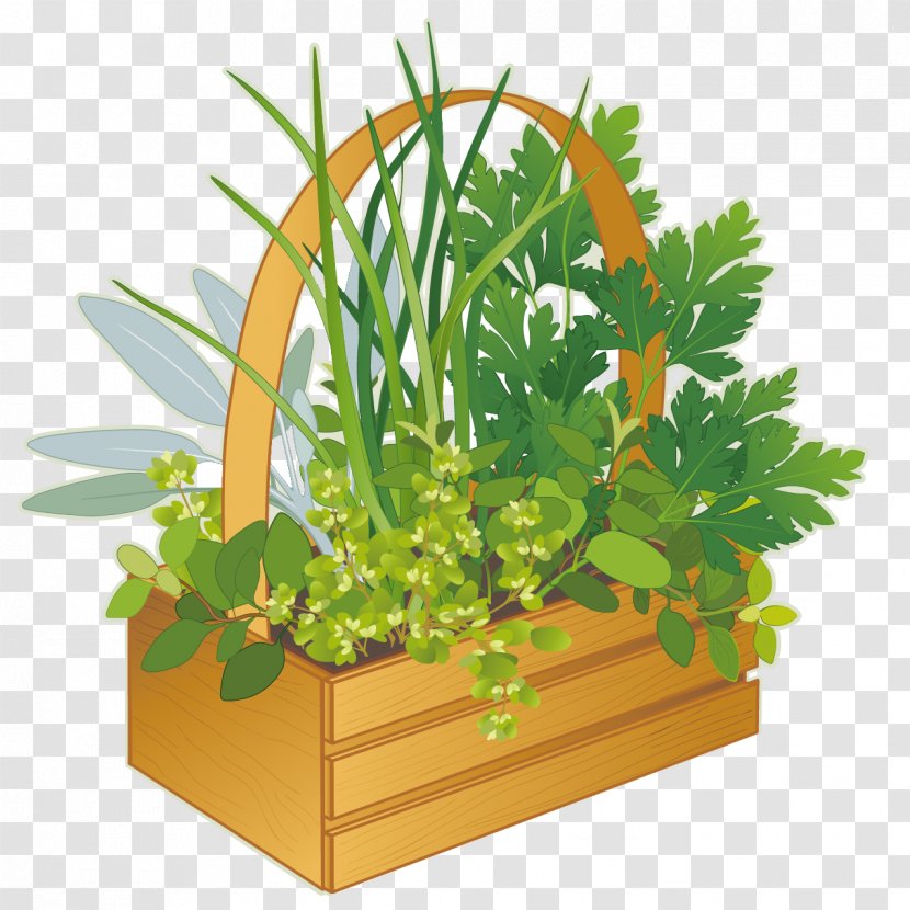 French Cuisine Fines Herbes Marjoram Clip Art - Potted Green Plants Transparent PNG