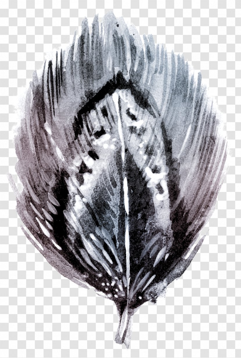 Black And White Watercolor Painting Feather - Plant - Hand-painted Feathers Transparent PNG