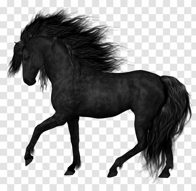 Friesian Horse Stallion Foal Black Clip Art - Draft - Image Transparent Transparent PNG